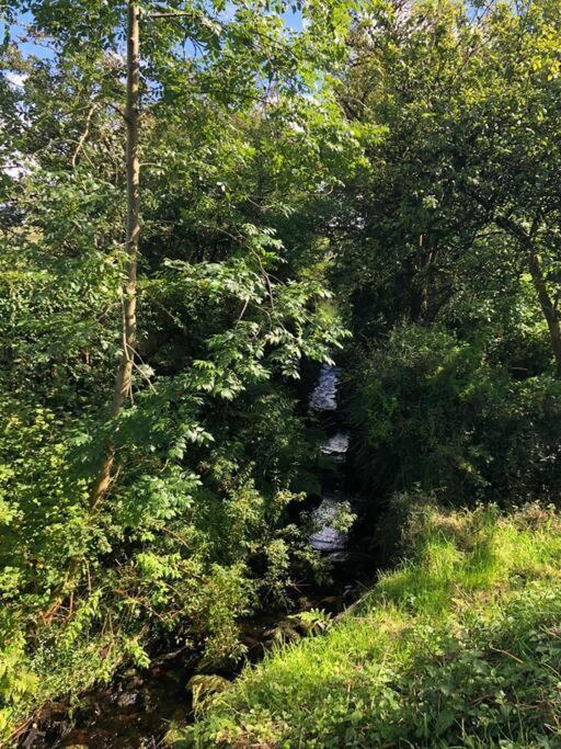 A View Of The Glens Villa Martinstown Buitenkant foto