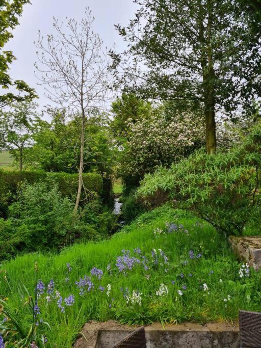 A View Of The Glens Villa Martinstown Buitenkant foto